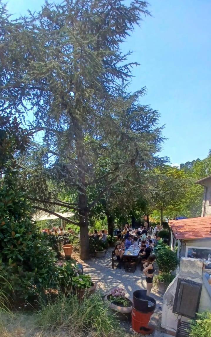 Ala Di Maniero In Agriturismo Valdrago In Toscana, Nel Verde Mugello Sulle Colline Di Firenze ボルゴ・サン・ロレンツォ エクステリア 写真