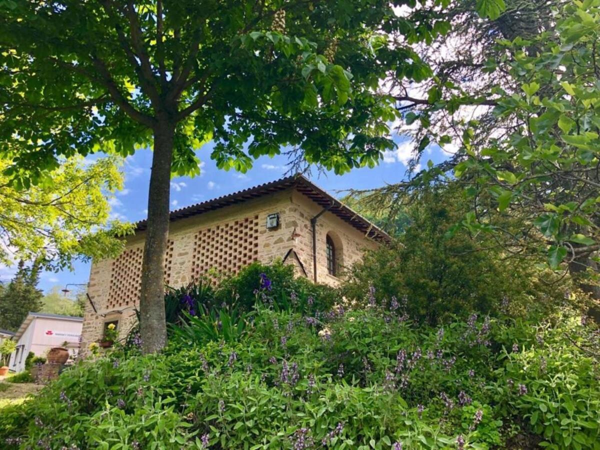 Ala Di Maniero In Agriturismo Valdrago In Toscana, Nel Verde Mugello Sulle Colline Di Firenze ボルゴ・サン・ロレンツォ エクステリア 写真