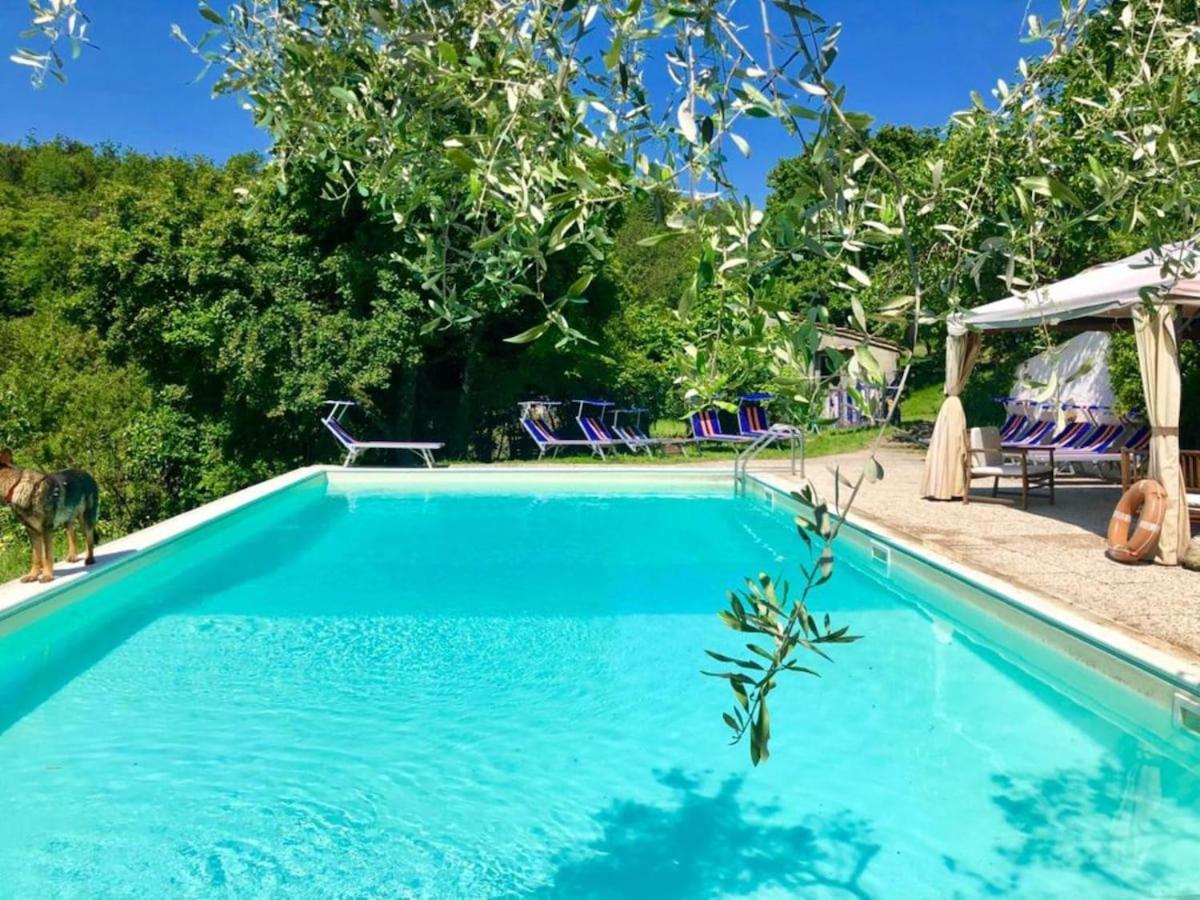 Ala Di Maniero In Agriturismo Valdrago In Toscana, Nel Verde Mugello Sulle Colline Di Firenze ボルゴ・サン・ロレンツォ エクステリア 写真