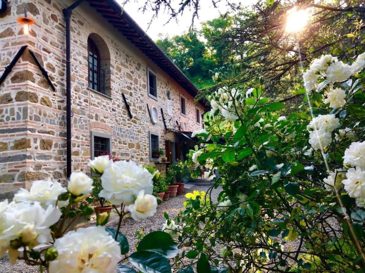 Ala Di Maniero In Agriturismo Valdrago In Toscana, Nel Verde Mugello Sulle Colline Di Firenze ボルゴ・サン・ロレンツォ エクステリア 写真