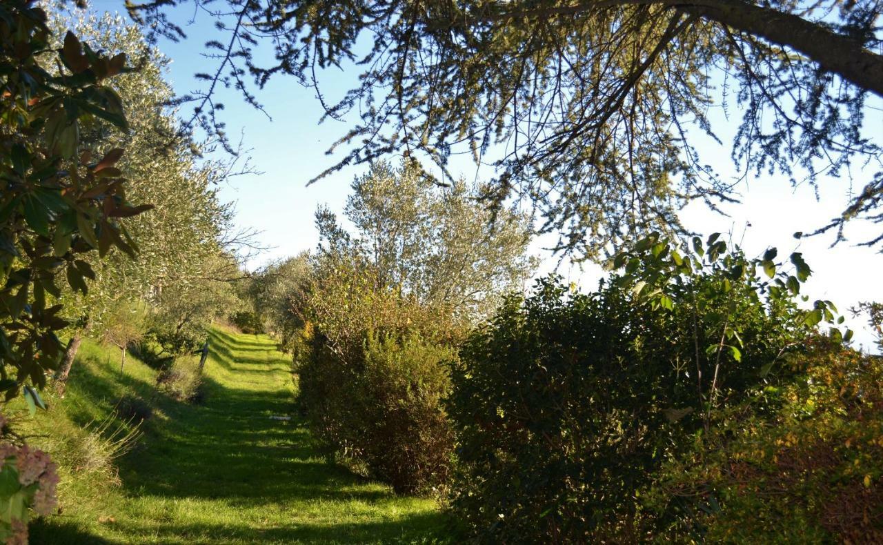 ボルゴ・サン・ロレンツォ Ala Di Maniero In Agriturismo Valdrago In Toscana, Nel Verde Mugello Sulle Colline Di Firenzeゲストハウス エクステリア 写真