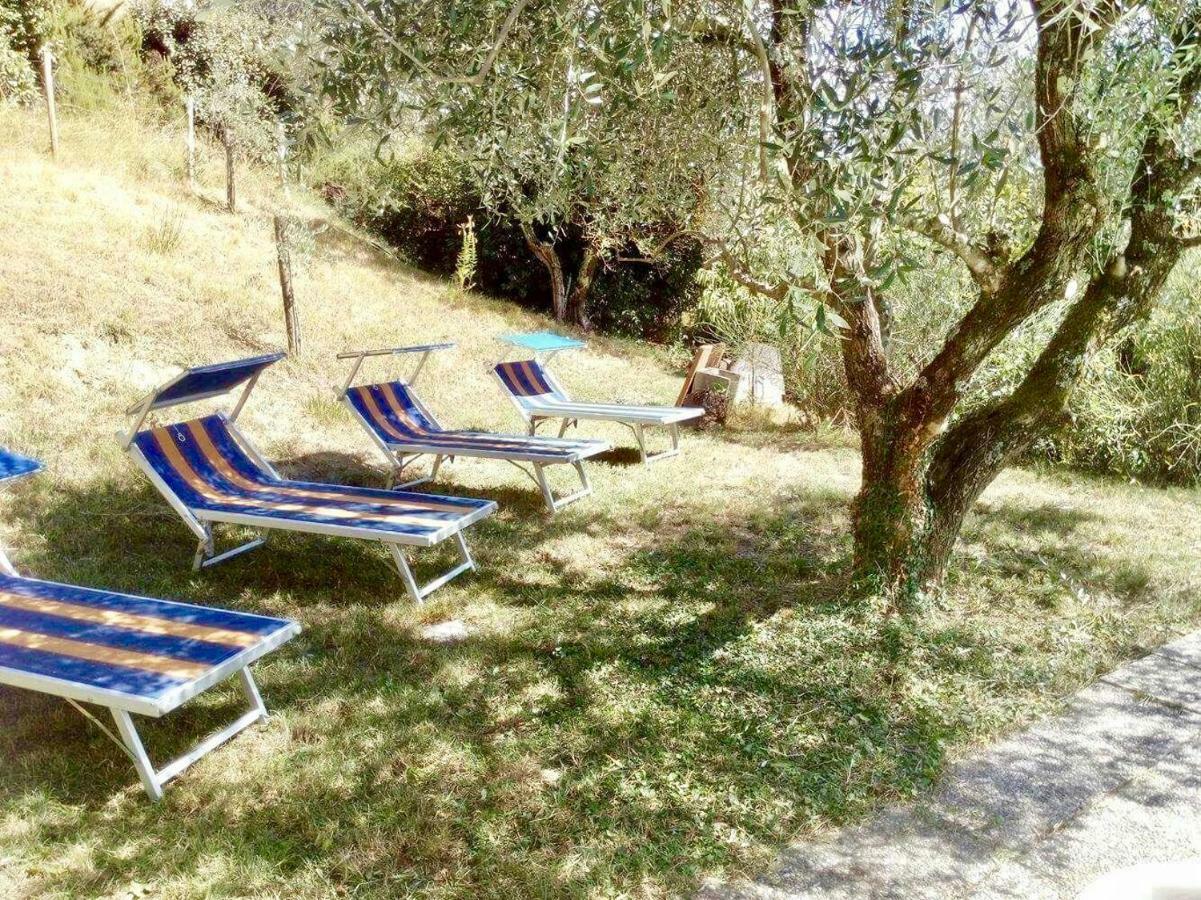 Ala Di Maniero In Agriturismo Valdrago In Toscana, Nel Verde Mugello Sulle Colline Di Firenze ボルゴ・サン・ロレンツォ エクステリア 写真