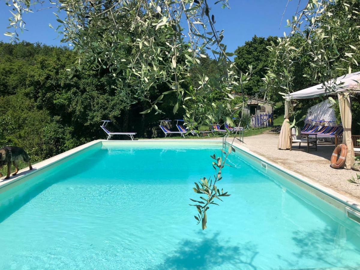 ボルゴ・サン・ロレンツォ Ala Di Maniero In Agriturismo Valdrago In Toscana, Nel Verde Mugello Sulle Colline Di Firenzeゲストハウス エクステリア 写真